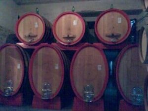 Tonneaux aglianico Paternoster