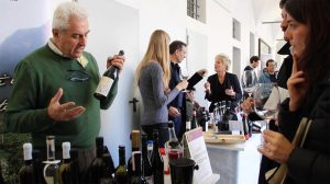 Vins Extrêmes espositori